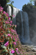 Le cascate di Dambri Falls